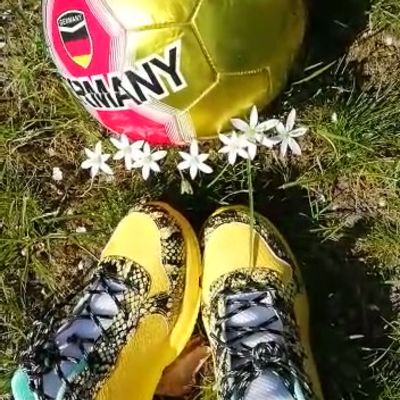 GSV_Ballfans1