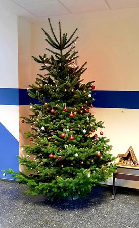 Bild vergr&ouml;&szlig;ern: Tannenbaum-A_2020