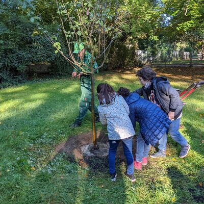 Kinder gießen den neu gepflanzten Apfelbaum