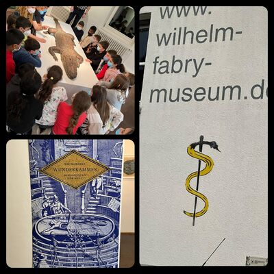 Wilhelm-Fabry-Museum