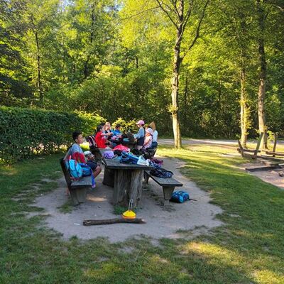Bild vergr&ouml;&szlig;ern: 2022 wald 1b943909-754e-41bc-b999-a830fae89bb1
