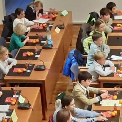 Bild vergr&ouml;&szlig;ern: 2022_YD_parlament4