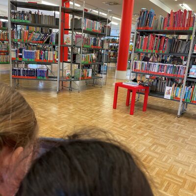 Bild vergr&ouml;&szlig;ern: 2023 _Bücherei4