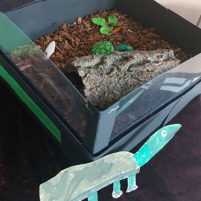 Bild vergr&ouml;&szlig;ern: Selbstgebautes Terrarium