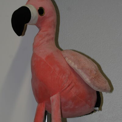 Bild vergr&ouml;&szlig;ern: Flamingo
