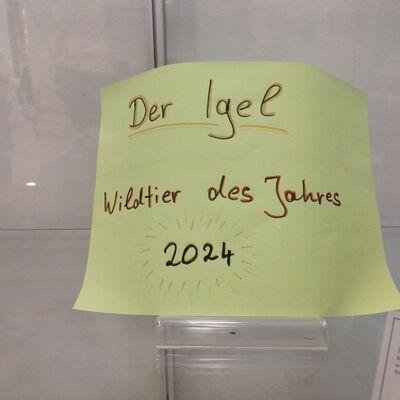 Bild vergr&ouml;&szlig;ern: Medien (27)