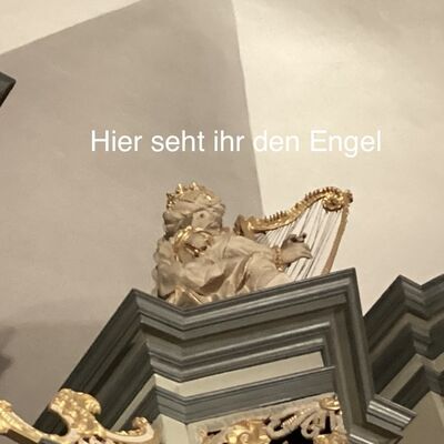 Bild vergr&ouml;&szlig;ern: IMG_0063