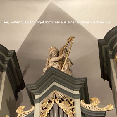 Bild vergr&ouml;&szlig;ern: IMG_0065