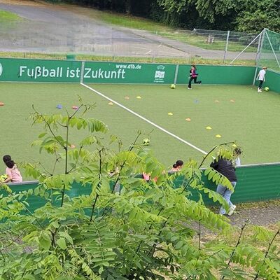 Bild vergr&ouml;&szlig;ern: Kinder Auf dem Cage