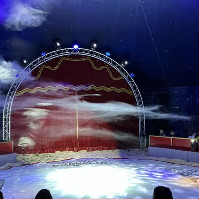 Bild vergr&ouml;&szlig;ern: Zirkus stellt sich vor Fotos: Dengel