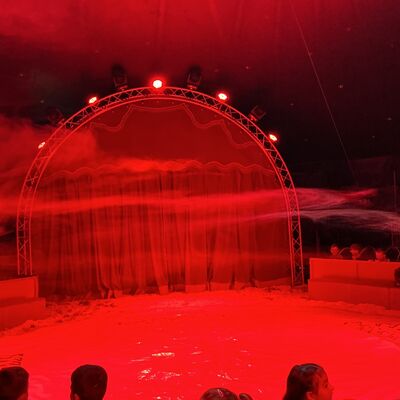Bild vergr&ouml;&szlig;ern: Zirkus stellt sich vor Fotos: Dengel