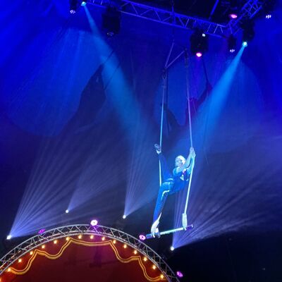 Bild vergr&ouml;&szlig;ern: Zirkus stellt sich vor Fotos: Dengel