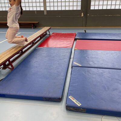 Bild vergr&ouml;&szlig;ern: Bewegungsangebote in der Sporthalle_Dengel