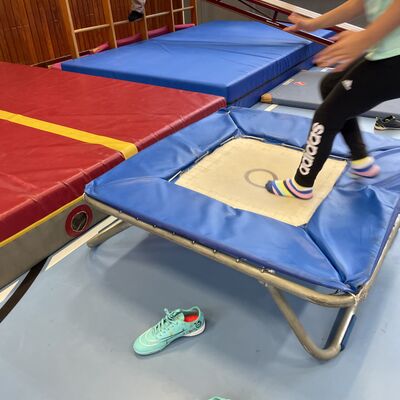 Bild vergr&ouml;&szlig;ern: Bewegungsangebote in der Sporthalle_Dengel